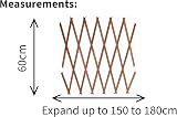 Kanta 2x Large Expanding Wooden Trellis 6Ft x 2Ft Garden Fence view 6