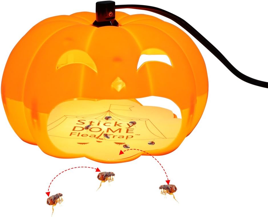 SEICOSY Flea Trap, Pest control Indoor Plug-in Electric Dome Sticky Flea Trap,Pumpkin, Effective against Fleas, Mosquito, and other small insects (Orange)