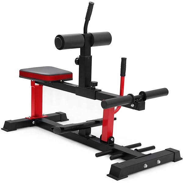 Leg Workout Equipment Titan Fitness Tibia Dorsi Calf Machine