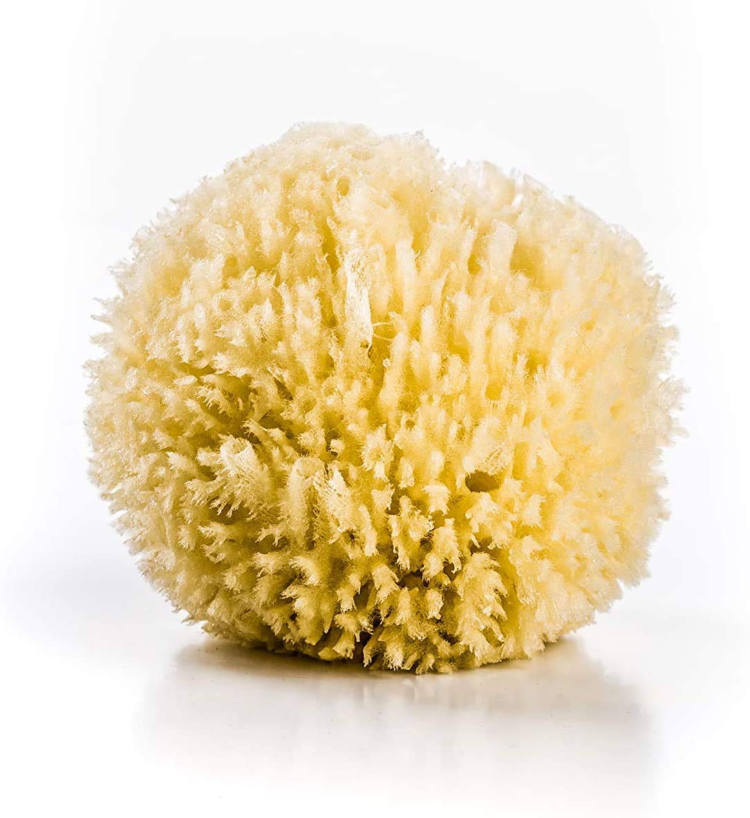 ana wiz Natural Honeycomb Sea Sponge. Soft and Absorbent- Perfect for Babies and Adults. Hypoallergenic - Suitable for A Baby’S Delicate and Sensitive Skin.