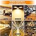 80W Garage Light, 3000K Warm White Deformable Lamp,80W 8000 LM Basement Light,Shop Lights for Garage,Overhead Garage Light,Led Garage Ceiling Lights（80W Warm Light）
