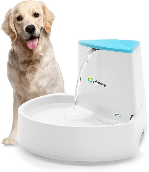 automatic dog fountain