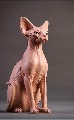 Amazon Jxk 1 6 サイズ スフィンクス 無毛のネコ 可愛い 猫 動物 リアル フィギュア 樹脂 プラモデル プレミアム 大人のおもちゃ 模型 8 7cm級 オリジナル スタチュー 塗装済 完成品 ネコ好き 誕生日 プレゼント A フィギュア ドール 通販