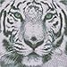 Adarl 5D DIY Full Diamond Painting Rhinestone Pictures of Crystals Embroidery Kits Arts, Crafts & Sewing Cross Stitch (Tiger 1)