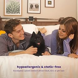Sheets & Giggles 100% Eucalyptus Lyocell Sheet Set