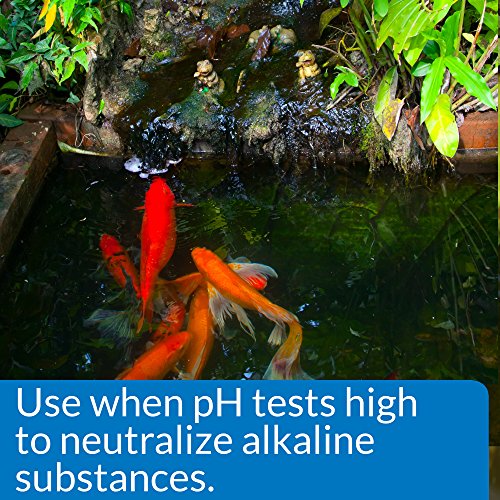 API POND pH DOWN Pond Water pH Reducing Solution 16Ounce Bottle, White