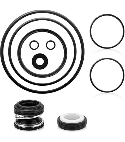 Vsttar 350090 - Kit Coperchio E Anello Di Bloccaggio Per Pompa Piscina Pentair SuperFlo (VS, SuperMax VS) - Ricambio Camma E Rampa