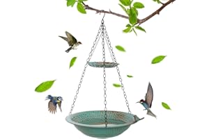 Qipade 2 Layer Hanging Bird Bath for Outside, 13 Inch Metal Hanging Bird Baths, 2 in 1 Birdbath & Feeder for Outdoors Garden Yard Patio Decor, Green
