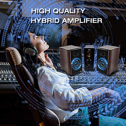 INFI Audio Tube Amplifier Headphone Amplifier with Bluetooth Home Theater Stereo Receiver