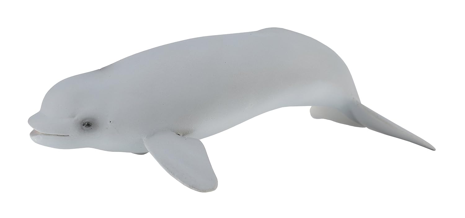 CollectA Sea Life Beluga Whale Calf Toy Figure - Authentic Hand Painted Model