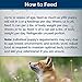 Blue Buffalo Wilderness Natural High-Protein & Grain-Free Wet Food for Puppies, Turkey & Chicken, 12.5-oz. Cans, 12 Count