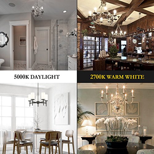 Candelabra LED Bulb 6W, Daylight 5000K, 600 Lumen Torpedo Shape B11 LED Light, 60 Watt Equivalent, E12 Candelabra Small Base, Non-Dimmable, for Ceiling Fan or Chandelier Lamp,12-Pack by Sailstar