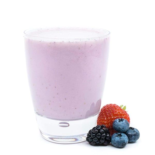 WONDERSLIM MEAL REPLACEMENT SMOOTHIE, BERRY YOGURT, 15G PROTEIN, 24 VITAMINS & MINERALS, GLUTEN FREE (7CT)