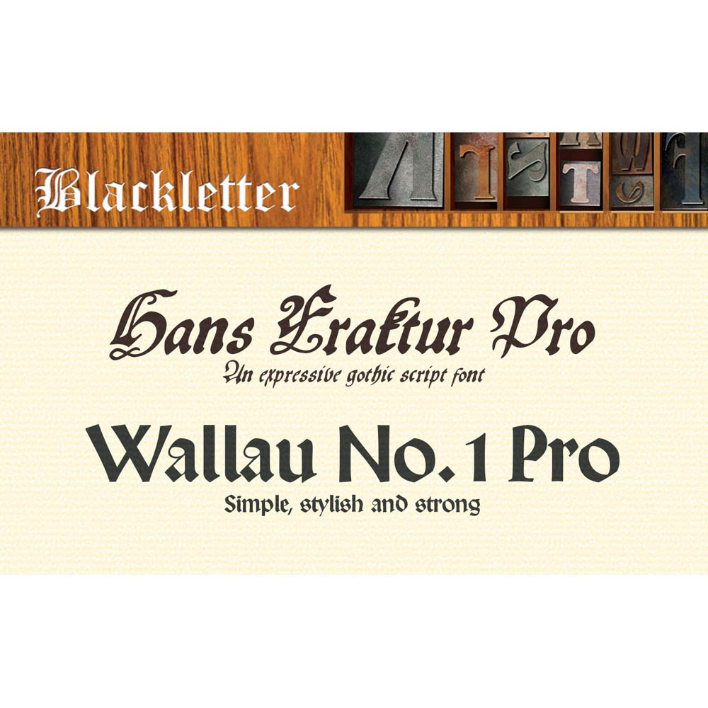 Font Collection: Elegant Blackletter PC [Download] - Thumbnail 4