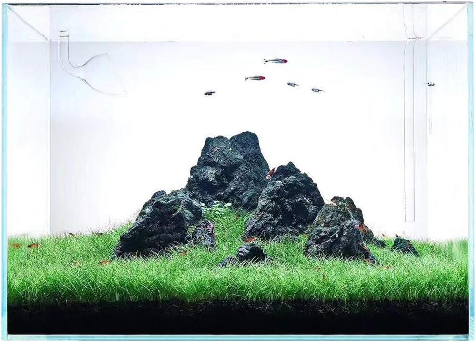 Lake Light Ultra Clear Rimless Aquarium Tank, Low Iron Crystal Glass, Fish Tank with Arc-Shaped Edge, with Foam Leveling Mat