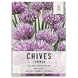 Seed Needs, Common Chives Herb