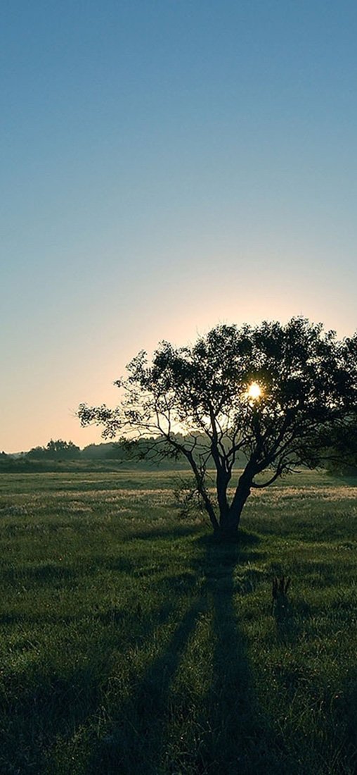 PeelitStickit, Beautiful Nature Wall Murals, ID-3186, vinyl