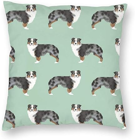 Surce Taie Doreiller Australianhepherds Chien Menthe Chien