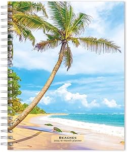 kindle best category lists