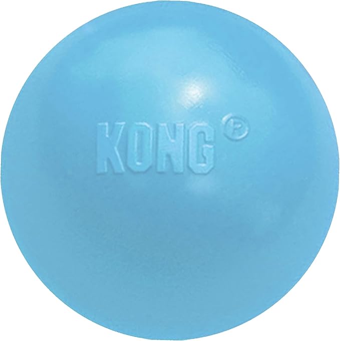 KONG Puppy Ball Soft Rubber, Dog Fetch Toy for Teething Pups for