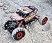 JOYIN RC Remote Control Car Off-Road Rock Crawler Power Wheel Monster Racing Truck