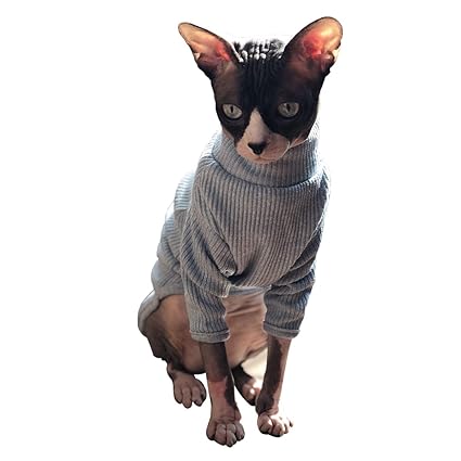 peterbald cat price
