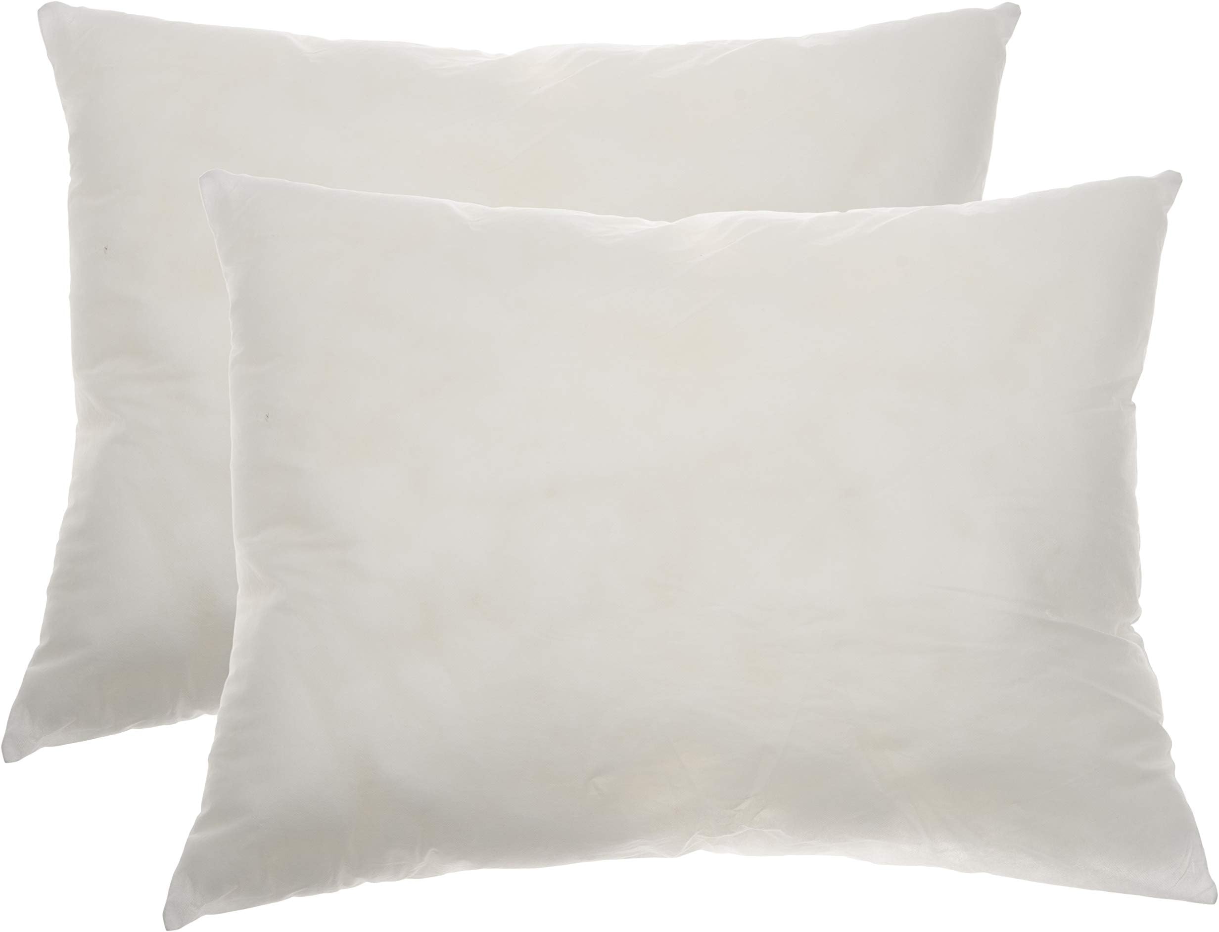 DaOne HomePolyester 2-Piece White Vacuum Packed Cushions by Aesha and Shikhar Dhawan (20" x 26")