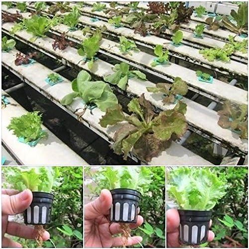 20X1.5" NEW! MESH NET POT BASKET HYDROPONICS SUPPLIES + ROCKWOOL CUBES GROWING
