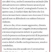 Immagine cliente