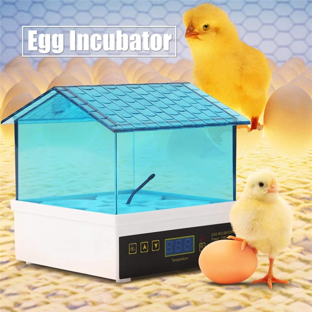 Egg Incubator, Mini Digital Egg Hatcher Poultry Hatcher Clear Temperature Control for Chicken