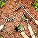 Gardening Tool Sets – 4 Piece Heavy Duty Garden Hand Tools Kits with Wood Handle and Stainless Steel Head – Trowel Cultivator Transplanter and Weed Fork – by YAPASPTthumb 3