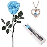 OSIAX Flowers for Delivery Prime,Single Preserved Rose with Necklace for Women,Real Roses Gift Set for Her,Mom Birthday Gifts from Daughter, Valentines Flowers (Light Blue)