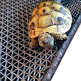 Alfie Pet by Petoga Couture - Palin 3-in-1 Moisturize Carpet for Terrarium Pets - Size: Medium