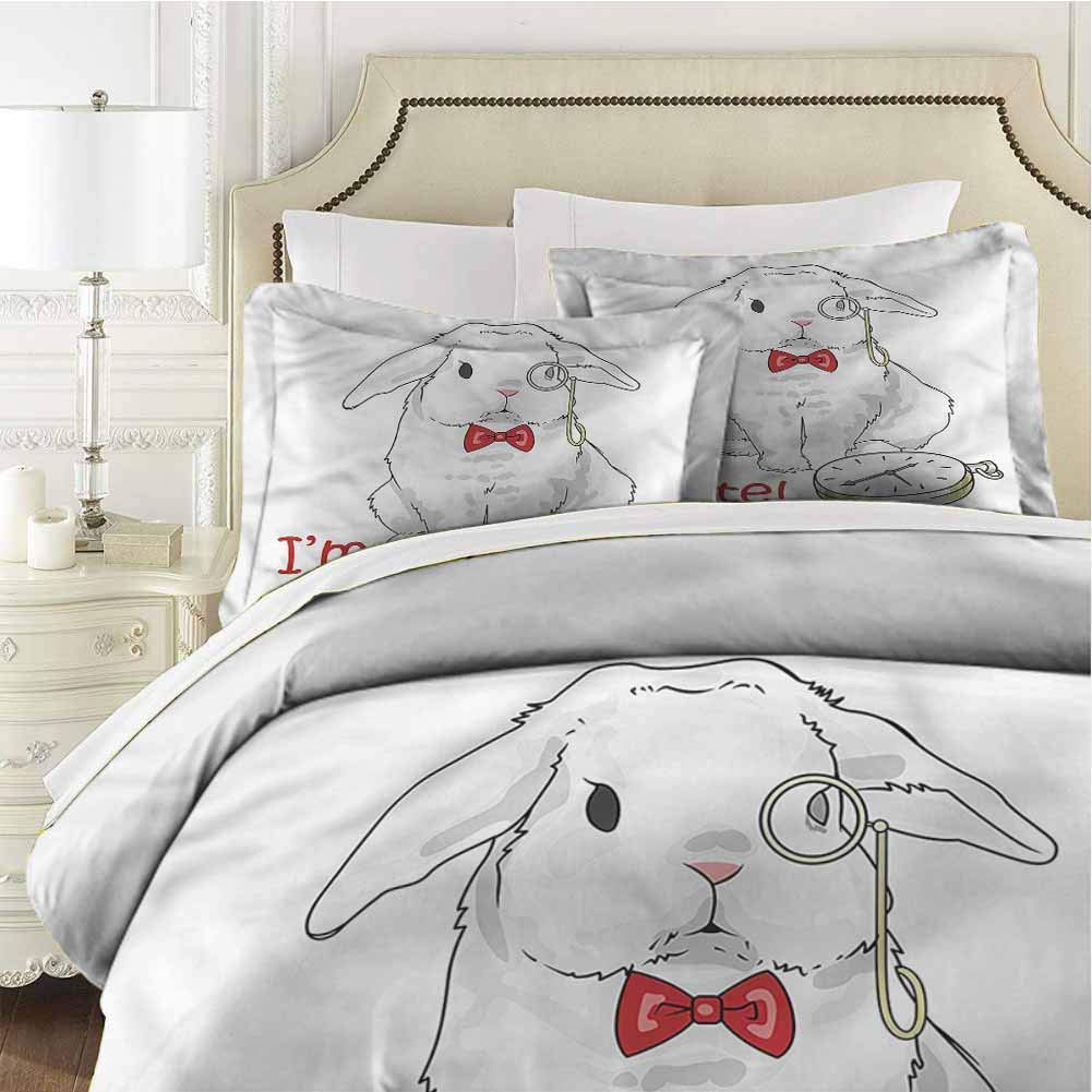 Alice in Wonderland Bedding 3-Piece Queen Bed Sheets Set,Comforter Bedding Set Microfiber Duvet Cover Set Cartoon Rabbit for Any Bed Room Or Guest Room