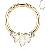 GAGABODY Daith Jewelry Septum Clicker 16 Gauge Earrings Nose Hoops Surgical Steel Hinged Nose Rings Cartlidge Earring Hoop Helix Tragus Rook Piercing