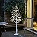EAMBRITE 6FT 88LT Warm White LED Winter Artificial Birch Wedding Christmas Home Decorative Tree Light for Indoor and Outdoor Use