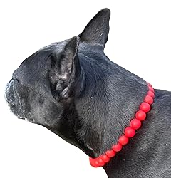 Dog Necklace