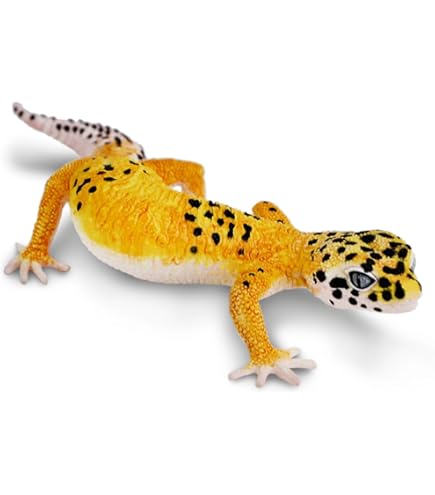 Amazon.com: Ikimono Large Encyclopedia Repti Namehada Tamao Gecko