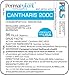 Cantharis 200C, 96 Pellets, Homeopathic Product by Paramesh Banerji Life Sciences, Made in USA