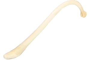 Clear Creek Trading Raccoon Penile Bone by Clear Creek Trading