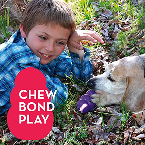 KONG Senior Dog Toy Gentle Natural Rubber Fun to Chew, Chase and