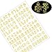 Mudder 216 Pieces 3D Flower Nail Art Stickers Decals Self-adhesive Nail Tips Decorations, 2 Sheet (Silver and Gold)