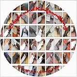 Learn Knife Making and Bladesmithing: 100+ Books, Over 2000+ Designs & 125 Video Tutorials