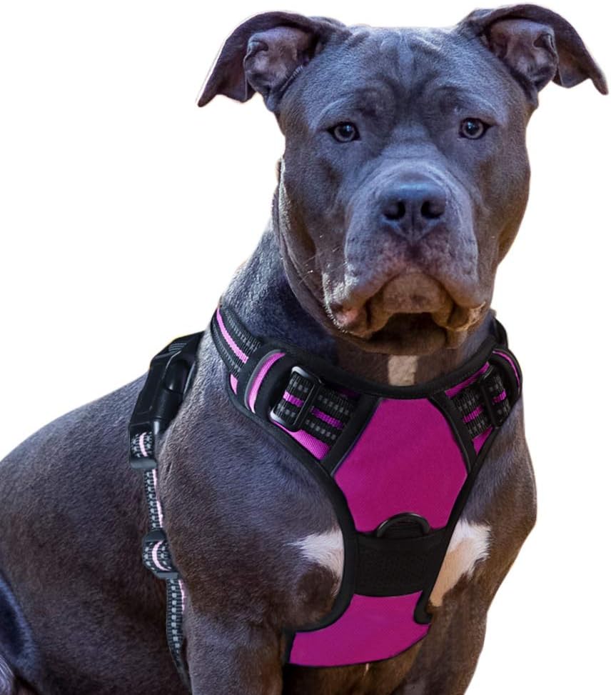 Best Harness For Pitbull My Best Bark