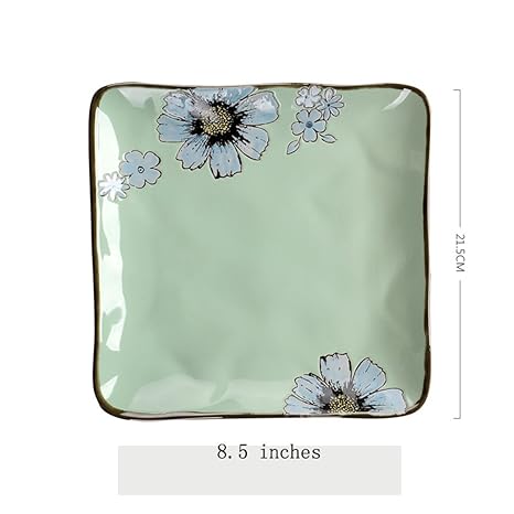 BaoKangShop Platos para microondas Plato de Pasta de ...