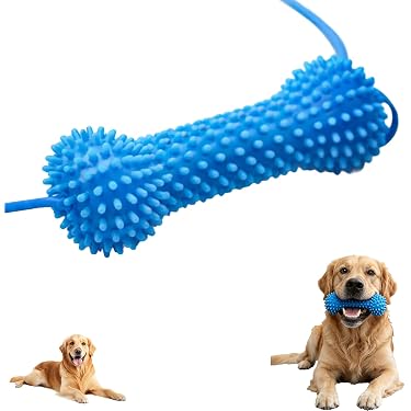 Amazon.ca Hot New Releases: The bestselling new & future releases in Dog  Toys