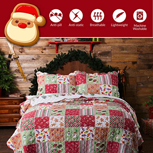 Bedsure Christmas Quilt Set King Size (106x96 inches) Multicolor