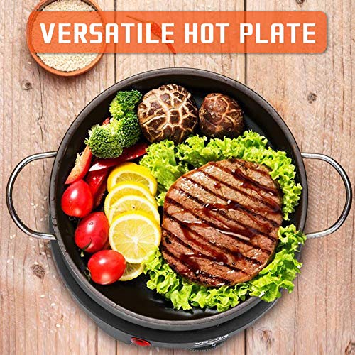 5 Electric+Haofy+Portable+Countertop+Stainless