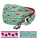 Blueberry Pet Essentials 2 Patterns Durable Pink Flamingo on Light Emerald Dog Leash 5 ft x 3/4