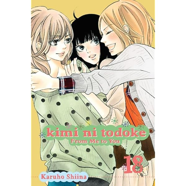 Amazon.com: Kimi ni Todoke: From Me to You, Vol. 17 eBook : Shiina